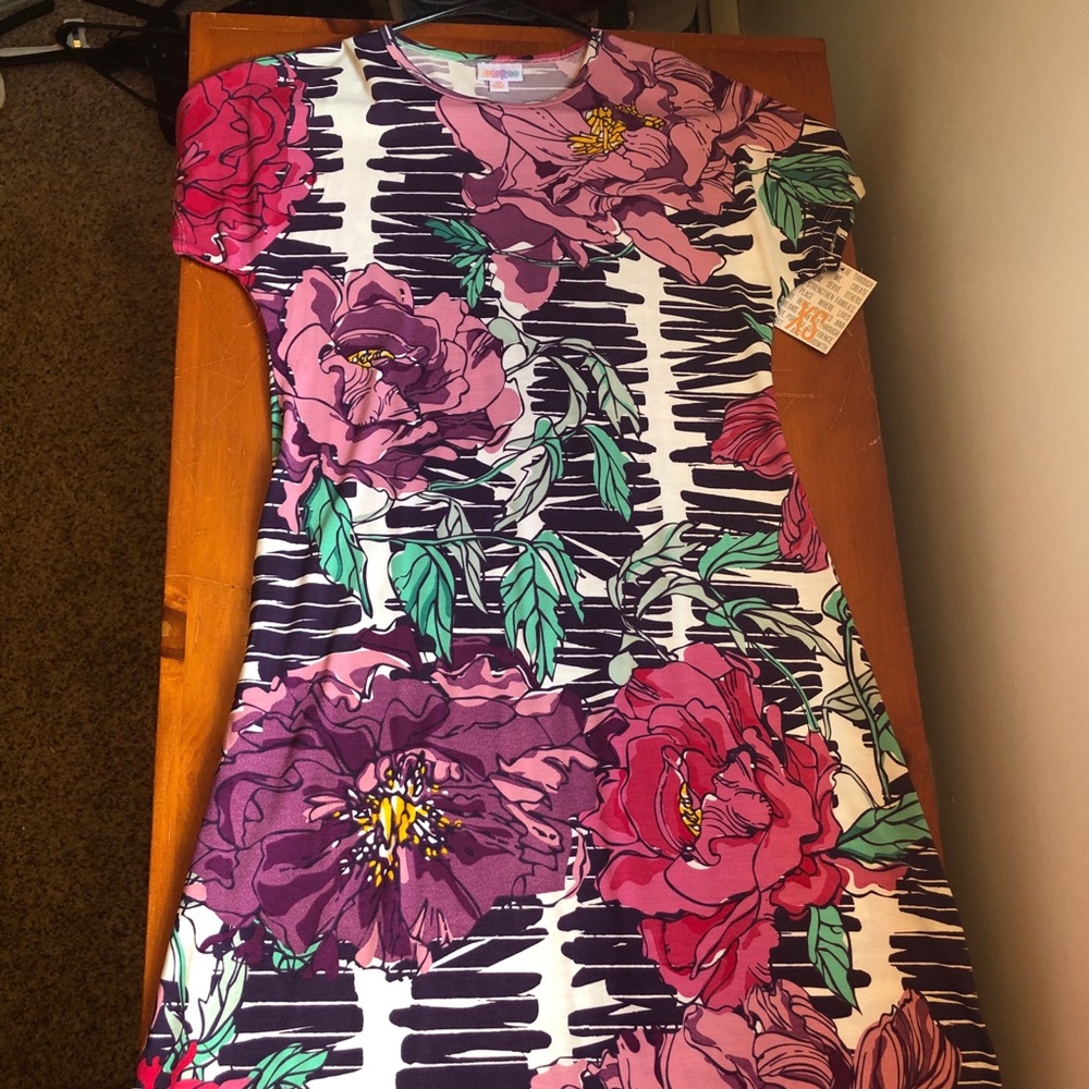 Lularoe Maria dress